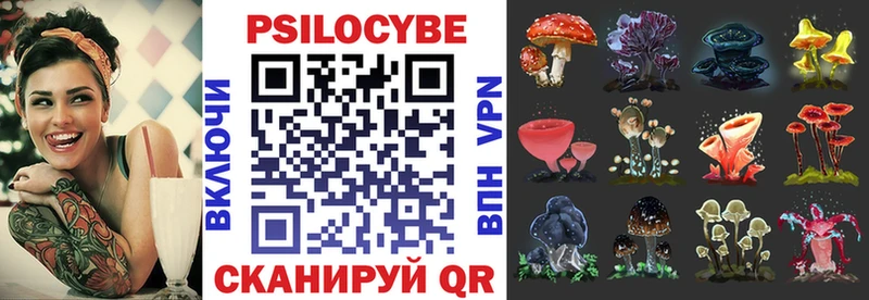 как найти   Рыбинск  blacksprut сайт  Галлюциногенные грибы ЛСД 